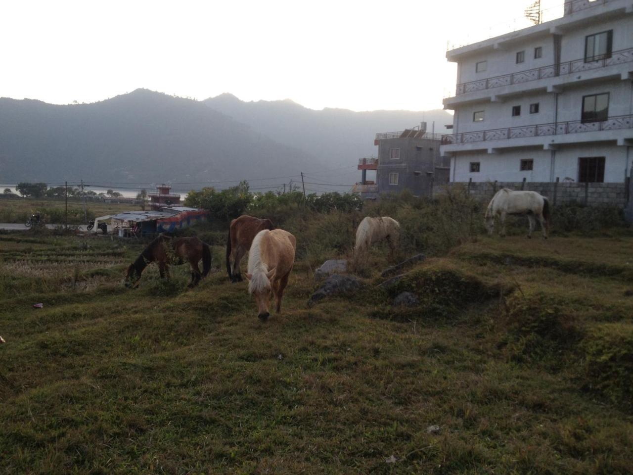 My Beautiful Cottage In Pokhara Exterior photo